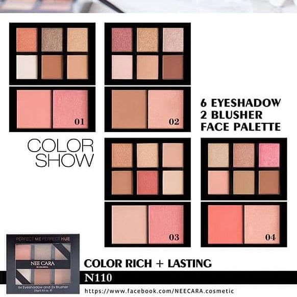 Eyeshadow And Blush Duo Palettw